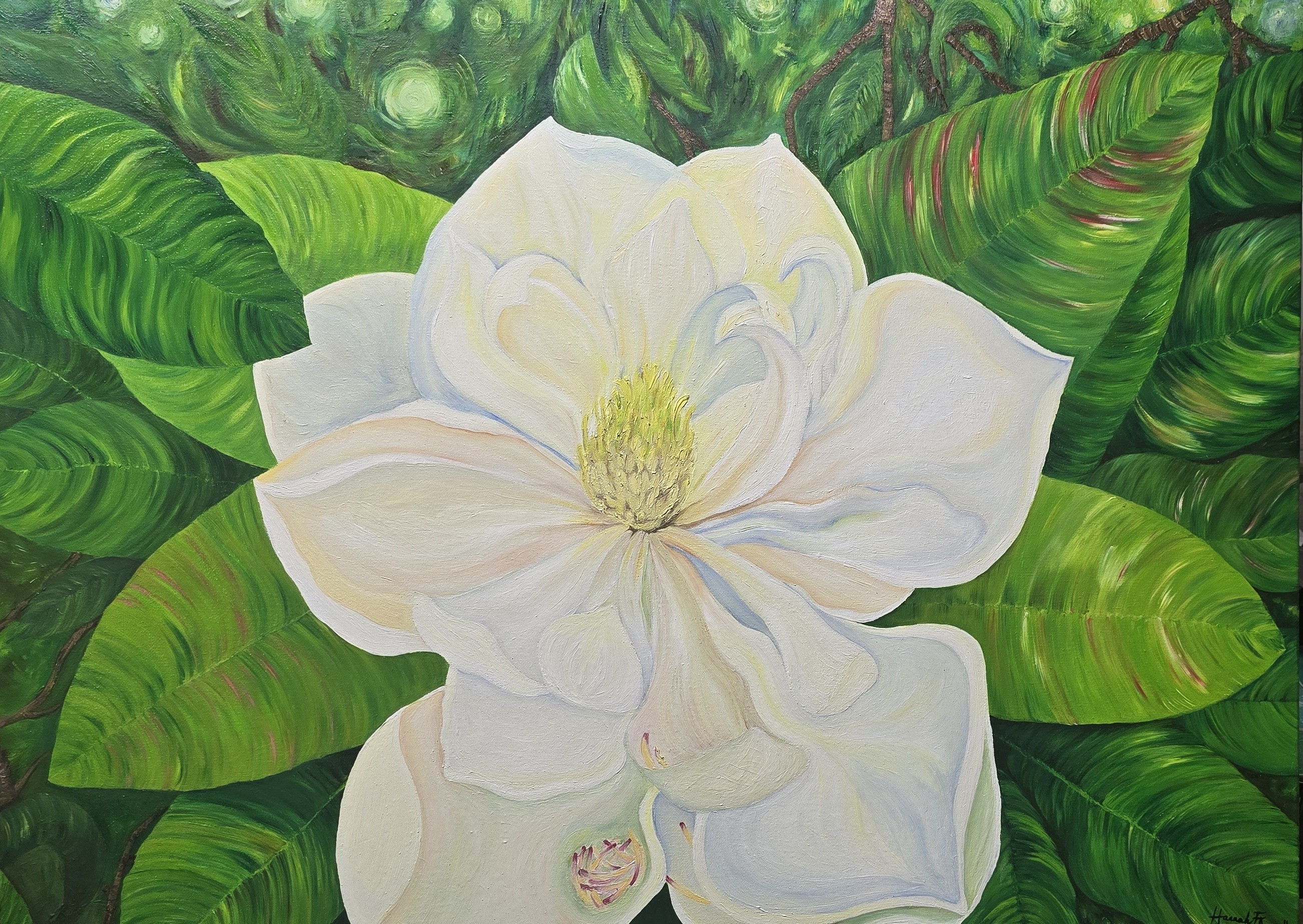 Magnolia flower painting by Hannah Araniello — a luminous white magnolia bloom surrounded by swirling green leaves, painted in oil